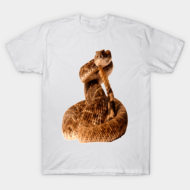 Rattlesnake Snake TShirt TeePublic